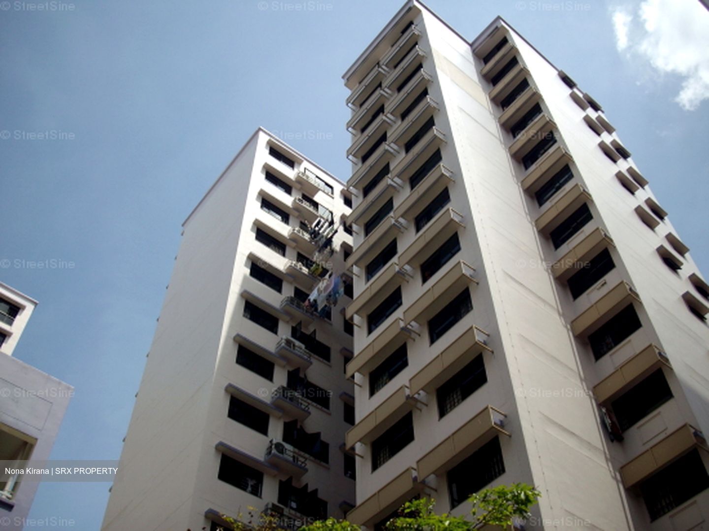 Blk 296E Choa Chu Kang Avenue 2 (Choa Chu Kang), HDB 5 Rooms #558828201
